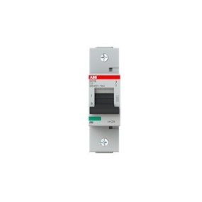 2CCS811001R0844 ABB S801B-C125