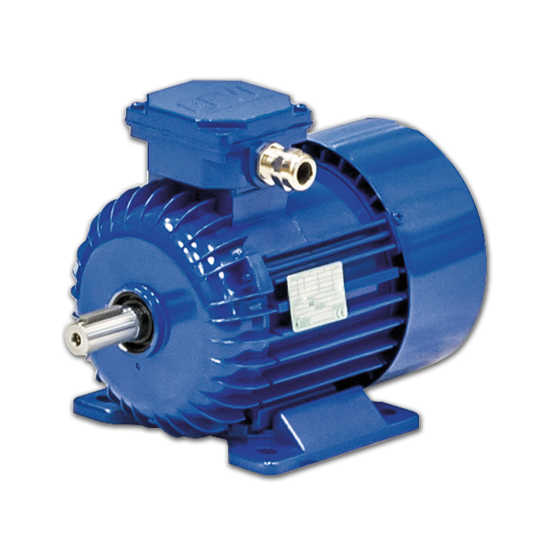 SKH 71-4B Cantoni Motor